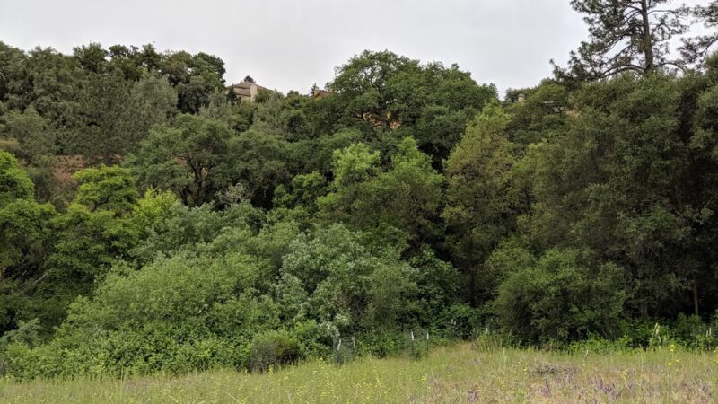 Canyon View Preserve - Auburn, CA