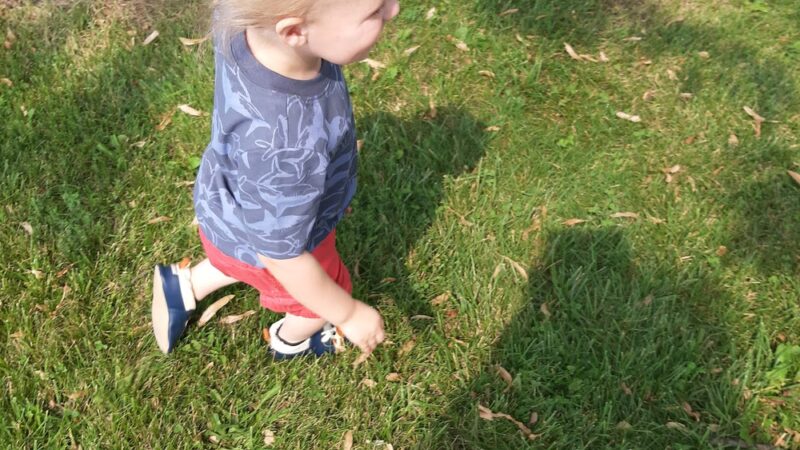 Smith Acres Park - Auburn, IN