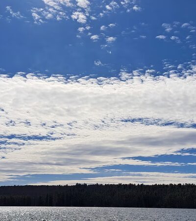 Lake Grove Park - Auburn, ME