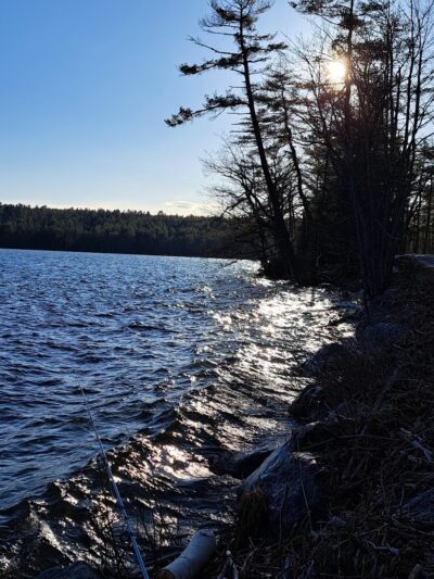 Lake Grove Park - Auburn, ME