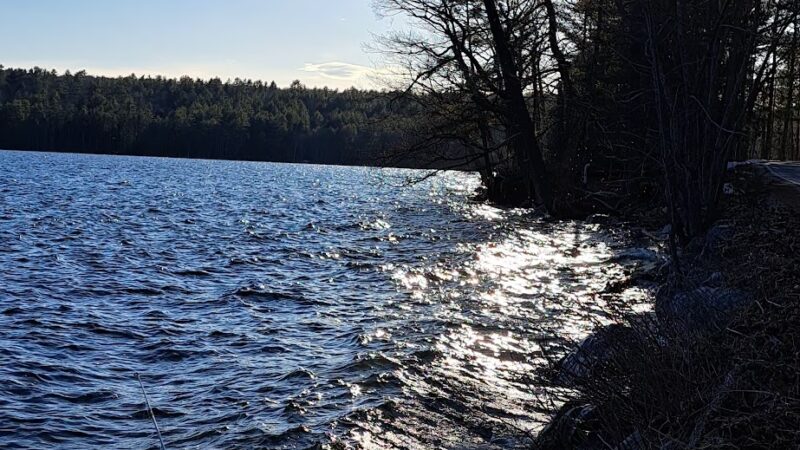 Lake Grove Park - Auburn, ME