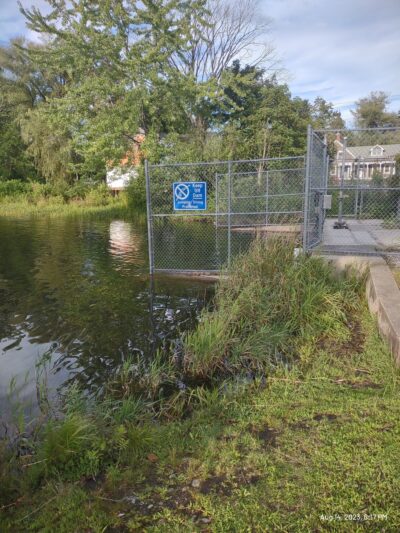 Lake Grove Park - Auburn, ME
