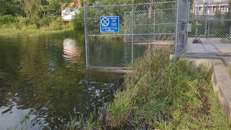 Lake Grove Park - Auburn, ME