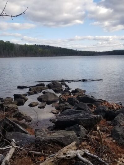 Whitman Spring Road Trail -- North Gate - Auburn, ME