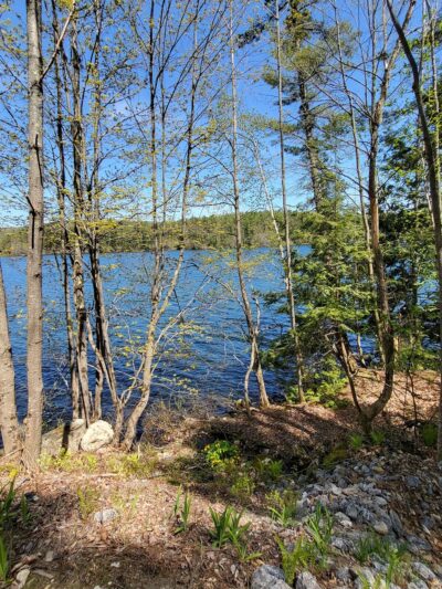 Whitman Spring Road Trail -- North Gate - Auburn, ME