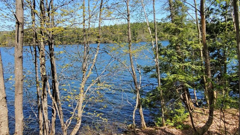 Whitman Spring Road Trail -- North Gate - Auburn, ME