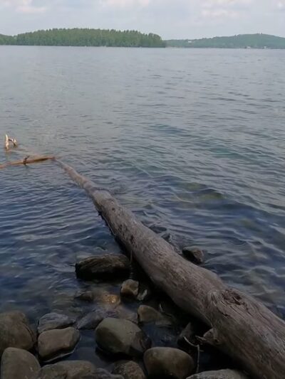 Auburn Lake Nature Trail South Trailhead - Auburn, ME