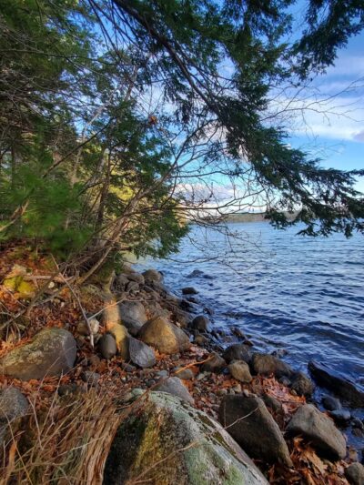 Auburn Lake Nature Trail South Trailhead - Auburn, ME