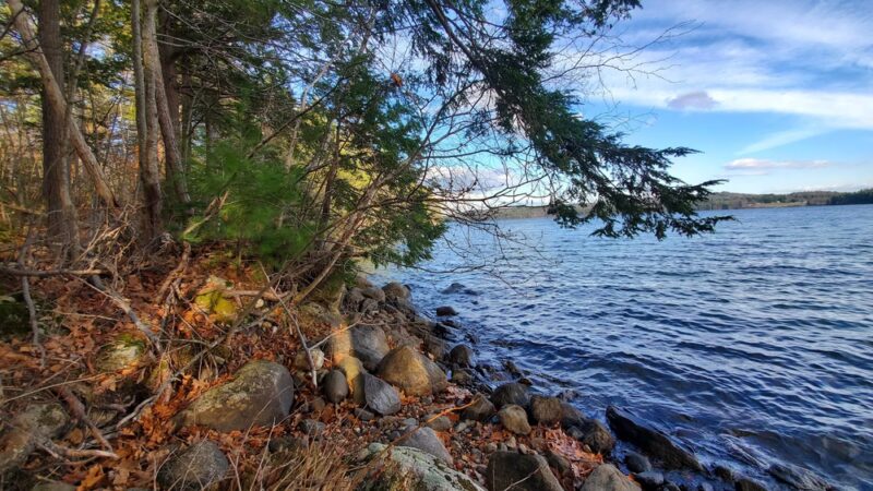 Auburn Lake Nature Trail South Trailhead - Auburn, ME