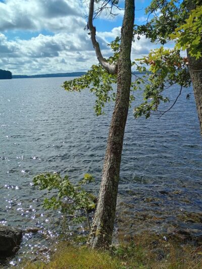 Auburn Lake Nature Trail South Trailhead - Auburn, ME