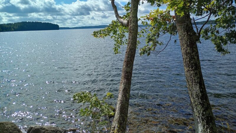 Auburn Lake Nature Trail South Trailhead - Auburn, ME