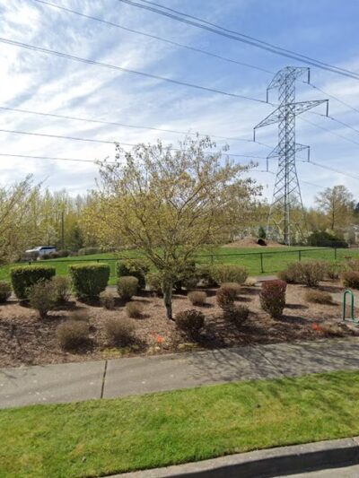 Dog off Leash Area - Auburn, WA