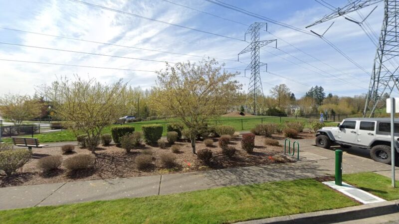 Dog off Leash Area - Auburn, WA