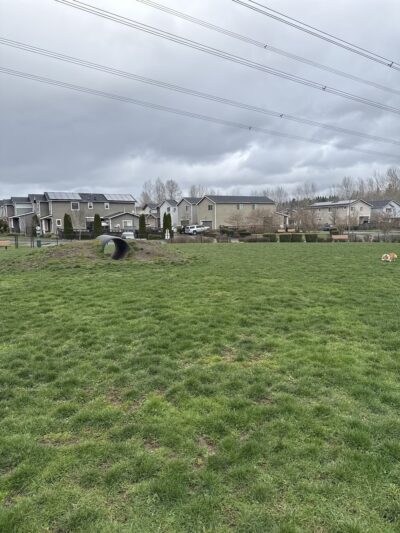Dog off Leash Area - Auburn, WA
