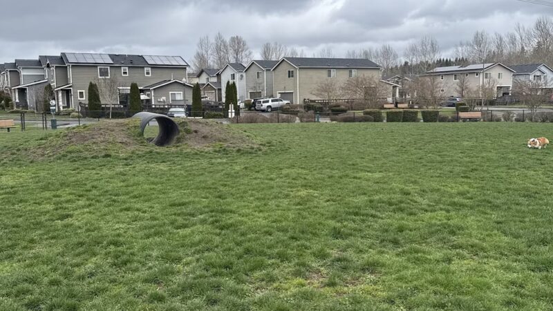 Dog off Leash Area - Auburn, WA