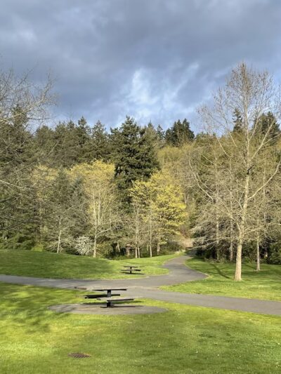 Off-leash park - Auburn, WA