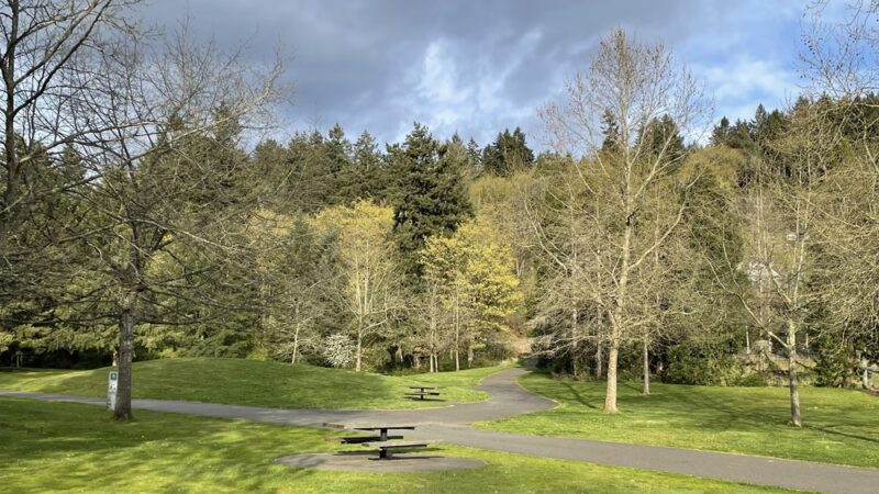 Off-leash park - Auburn, WA