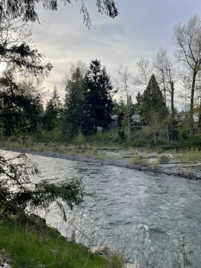 Off-leash park - Auburn, WA