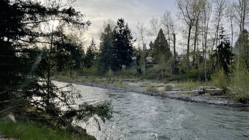 Off-leash park - Auburn, WA