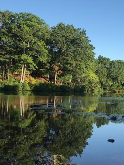 Auburndale Park - Auburndale, MA