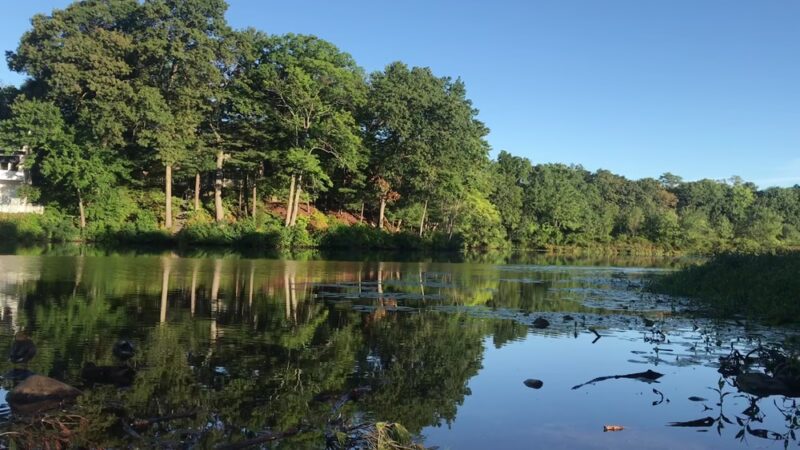 Auburndale Park - Auburndale, MA