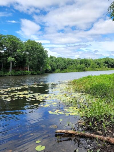 Auburndale Park - Auburndale, MA