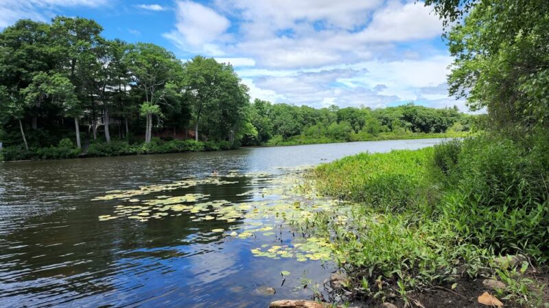 Auburndale Park - Auburndale, MA