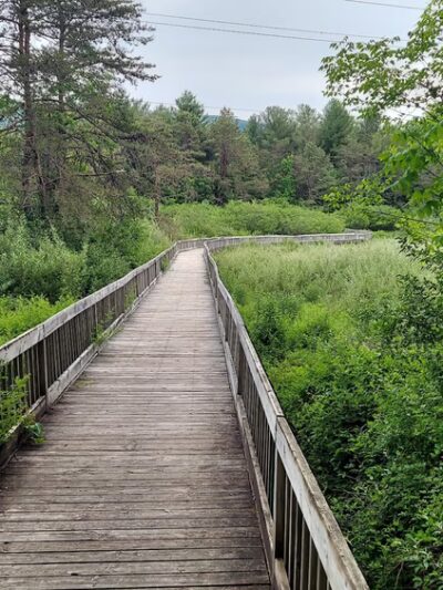 Augusta Springs Wetlands Park - Augusta Springs, VA