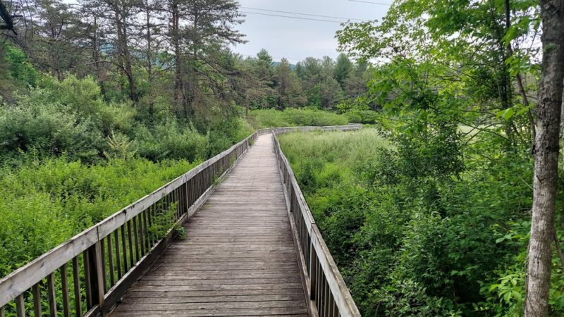 Augusta Springs Wetlands Park - Augusta Springs, VA