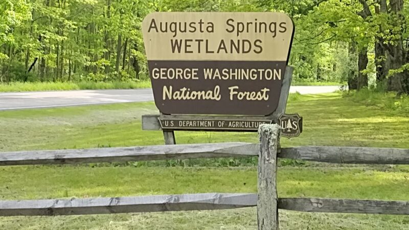 Augusta Springs Wetlands Park - Augusta Springs, VA