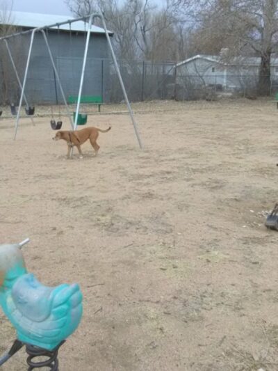 East Park - Ault, CO