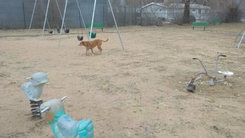 East Park - Ault, CO