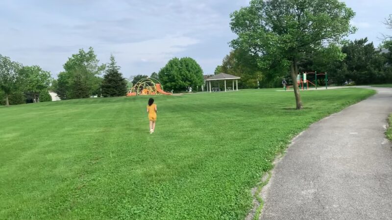 Frontenac park - Aurora, IL