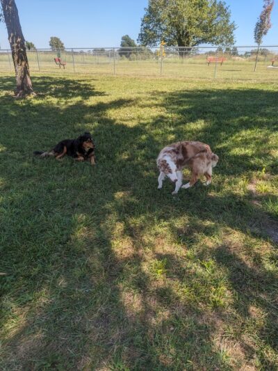 Jeanne’s Park - Aurora, MO