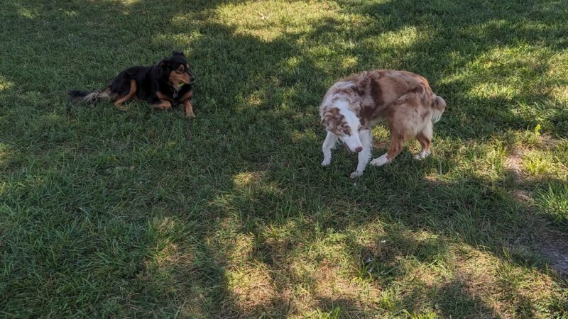 Jeanne’s Park - Aurora, MO