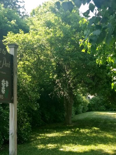 Aurora Village Park - Aurora, NY