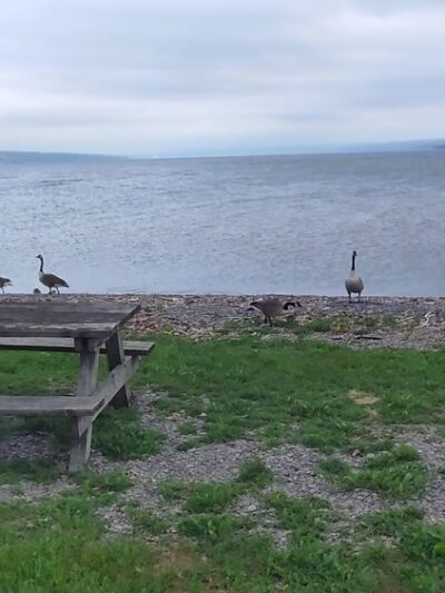 Long Point State Park - Aurora, NY