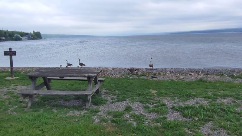Long Point State Park - Aurora, NY