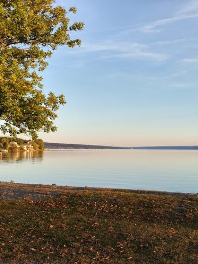 Long Point State Park - Aurora, NY
