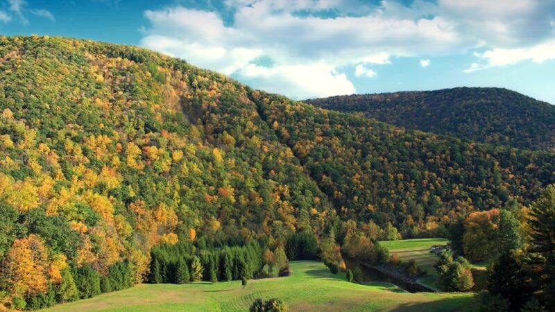 Sinnemahoning State Park - Austin, PA