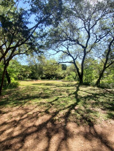 Armadillo Neighborhood Park - Austin, TX