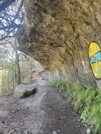 Bull Creek District Park - Austin, TX
