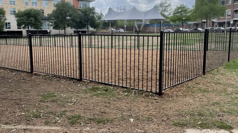 Dog Park - Austin, TX