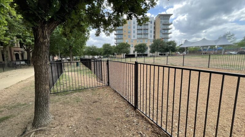 Dog Park - Austin, TX