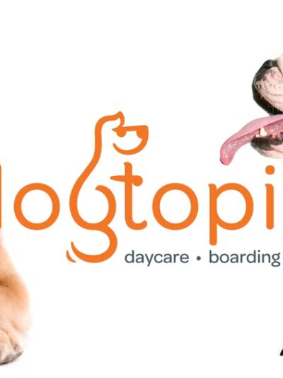 Dogtopia of North Austin - Austin, TX