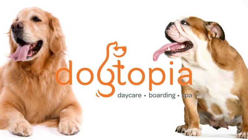 Dogtopia of North Austin - Austin, TX