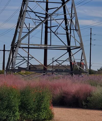 Domain Central Parks - Austin, TX