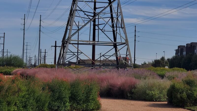 Domain Central Parks - Austin, TX