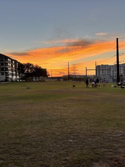 Domain Central Parks - Austin, TX