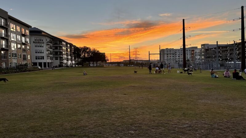 Domain Central Parks - Austin, TX